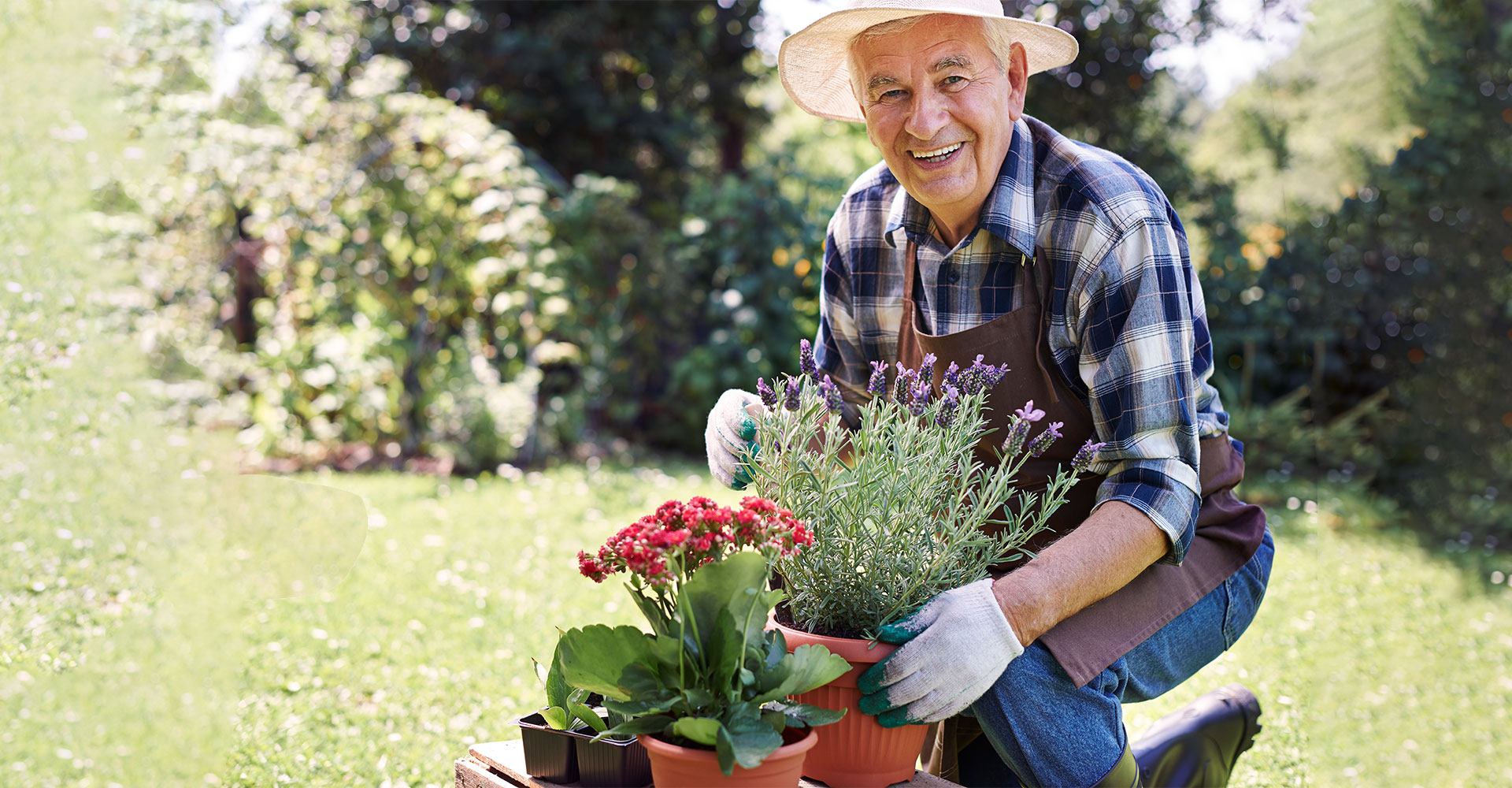 tavaszi kertépítés